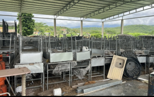 Captura de pantalla 2025-06-26 a la(s) 3.42.29 p. m.